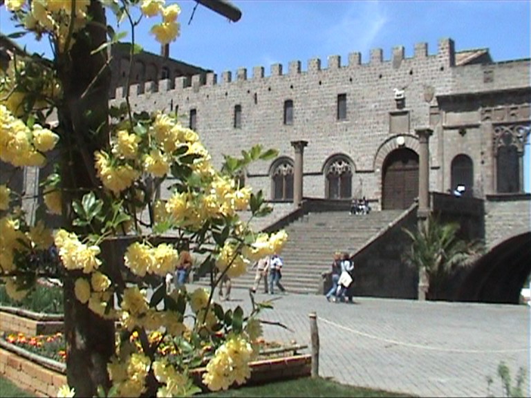 SAN PELLEGRINO IN FIORE 2008